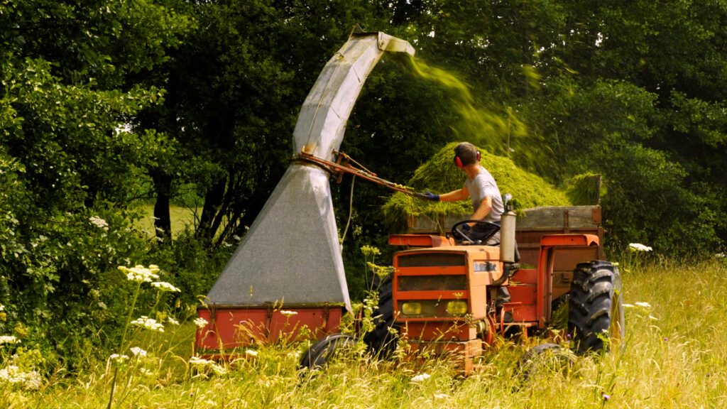 Maraîchage Tout Herbe, Le Film